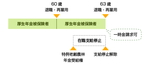 農林 年金 特例 一時 金