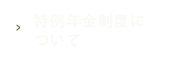 特例年金制度について